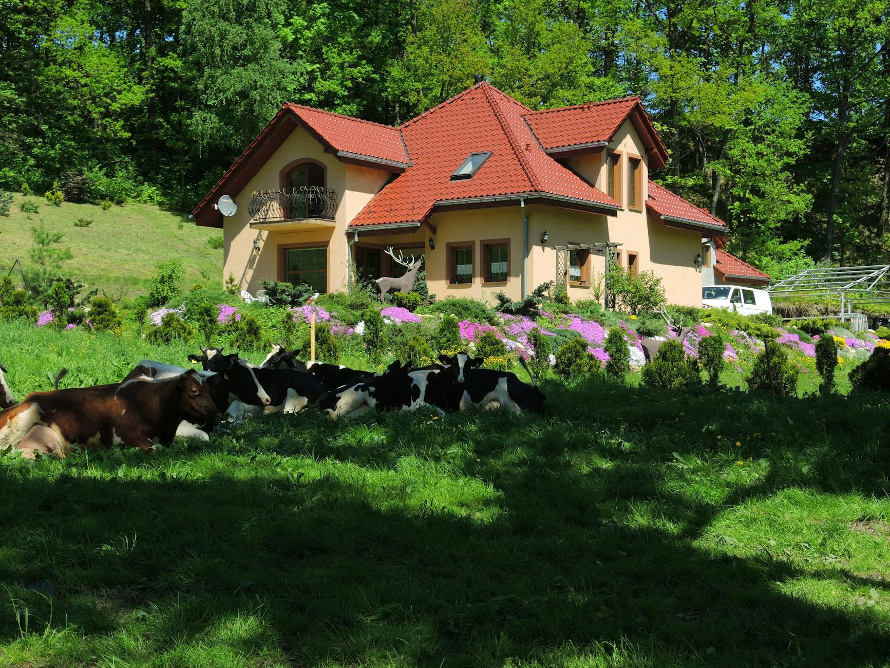 Malowniczy Park Zdrojowy w Polanicy-Zdroju podczas majówki, z zielenią i kwitnącymi krzewami.